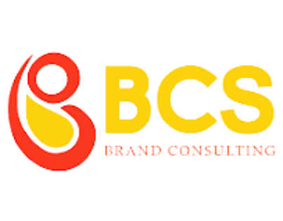 social media video -bcs brand consulting