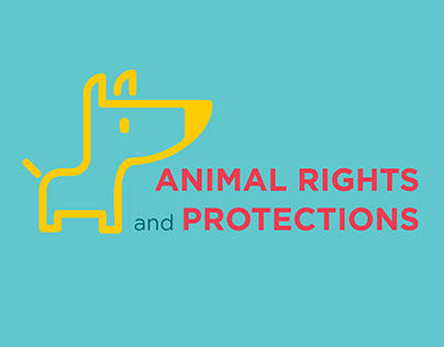 Animal Rights Infographic