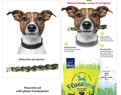 Floss'ems Dog Treats - Ad, Packaging, Mockups