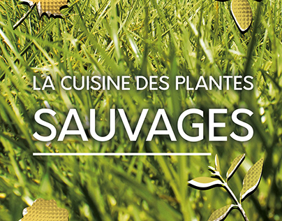 Livre " La Cuisine des plantes sauvages "