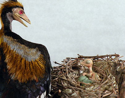 Archaeopteryx nest scene