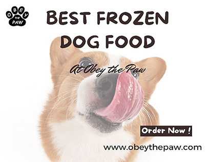 Best Frozen Dog Food