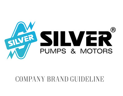 Logo Branding | Silver Pumps & Motors
