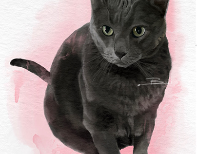 Pet Watercolour Painting
