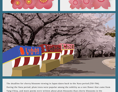 History of cherry blossom viewing