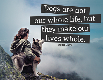 Quotes about Dogs