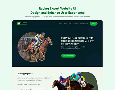 Redesign Racing Expert Website Design