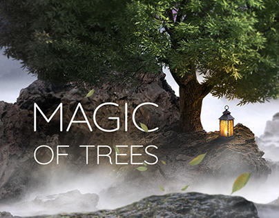 The project - the Magic of trees