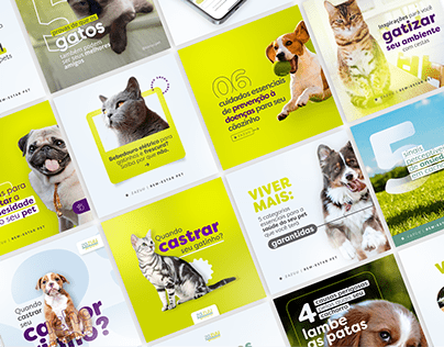 Pet Wellness | Instagram Design