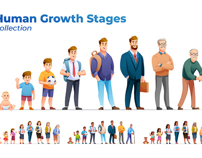 Human Growth Stages Collection