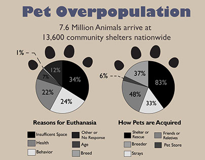 Info Graphic- Pet Overpopulation