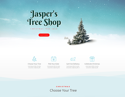 Christmas Tree Shop Website