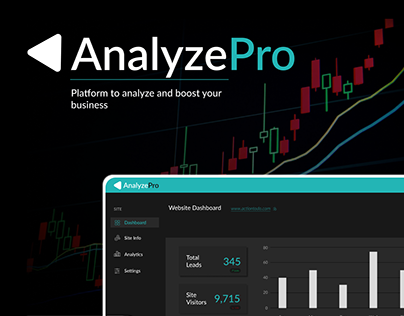 AnalyzePro || Visualize Data