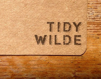 Branding-Tidy Wilde Hairdressing