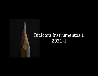 Bitácora Instrumentos 1