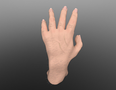 3d human hand