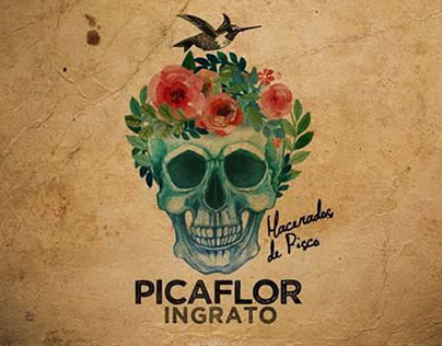 Picaflor Ingrato (Pisco)