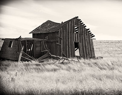 Forgotten Ranch