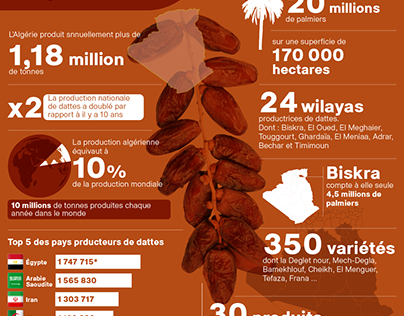 Infographie : Production de dattes en Algérie