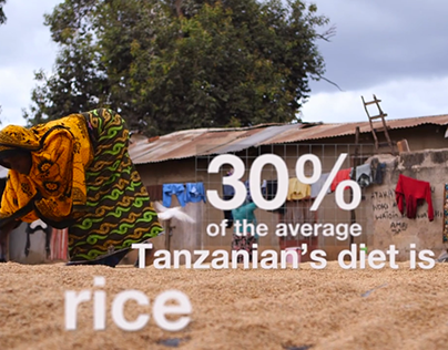 Rice Farming in Tanzania