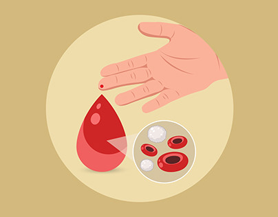 Blood Cells Illustration