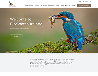 BirdWatch Ireland