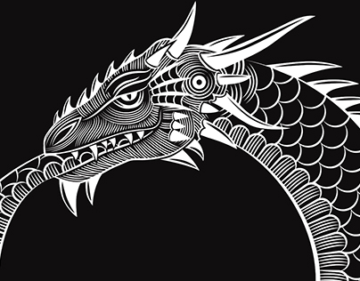 Dragon illustration shirt/ ilustrace draka