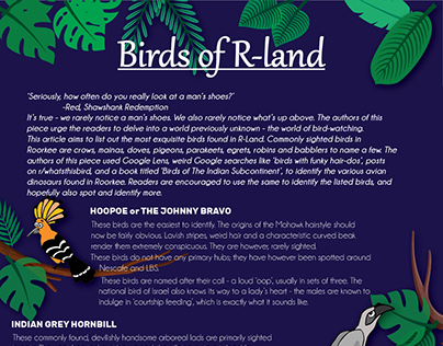 Birds Of R-Land