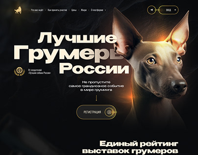 Groomer Exhibition Landing Page UX UI