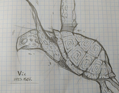 Sea turtle sketch - day 31 of posting everyday