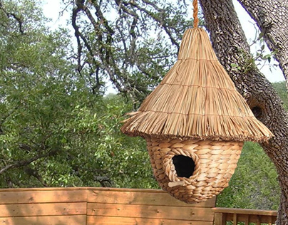 Bird House And Bird Feeder