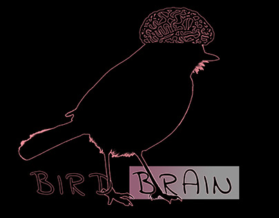'birdbrain"