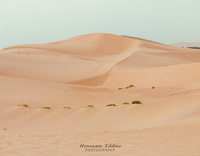 SIDI KHOUILED SAHARA DESERT