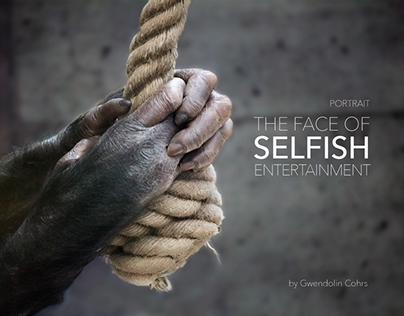 Photo series "The face of selfish entertainment"