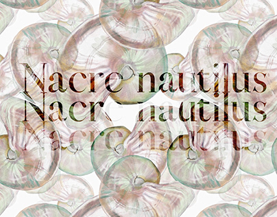 Seamless pattern Nacre Nautilus