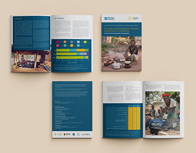 Sustainable Energy Access - Policy Brief design