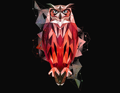 Geometric Art | Owl