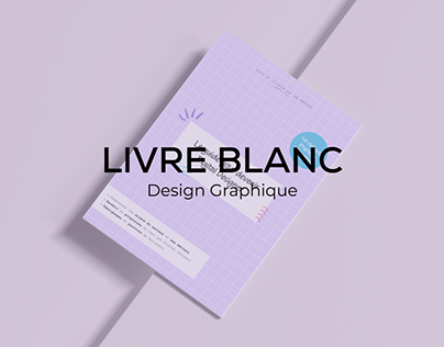 Livre Blanc - Digital Designer & Progression