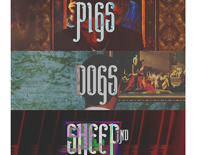 Pigs, Dogs and Sheep