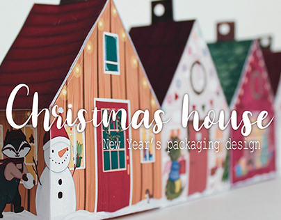 New Year's packaging design | Christmas house