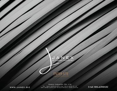 Janex Web Design (2012)