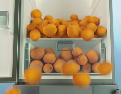 Tangerines - Mandarines - Холодильник мандаринов
