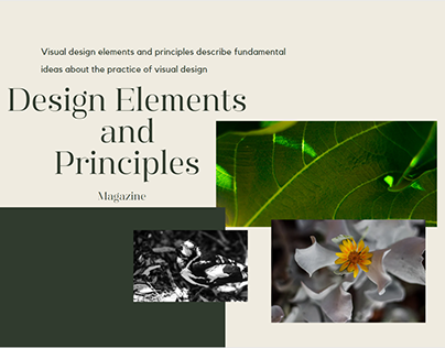 Design elements and principles