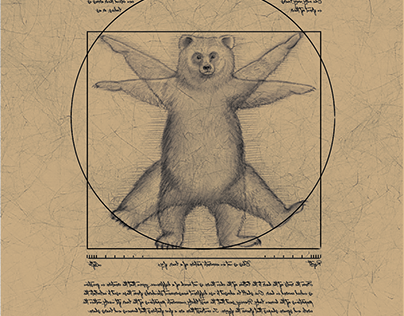 The Vitruvian bear