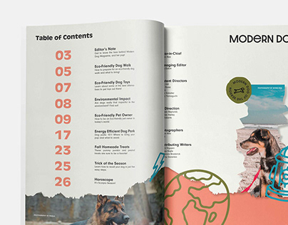 Process Book: Modern Dog Magazine