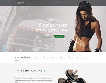 Fitness Centre Website | WordPress using Elementor