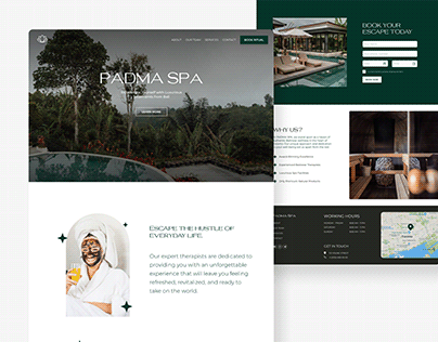 Padma SPA Salon - Landing Page & Social Media