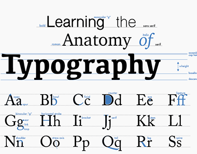 Anatomy of Typography Poster Design