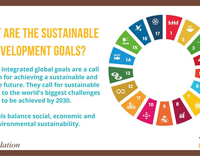 What are the Sustainable Development Goals?