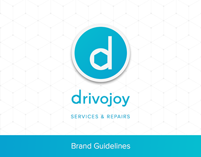 Drivojoy Brand Guidelines